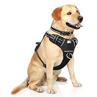 Algopix Similar Product 20 - WINSEE Dog Harness No Pull Pet