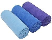 Algopix Similar Product 1 - Sinland Microfiber Fast Drying Gym