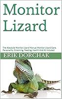 Algopix Similar Product 19 - Monitor Lizard  The Absolute Monitor