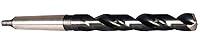 Algopix Similar Product 6 - PROJAHN 220425 drill bit HSSG DIN 345