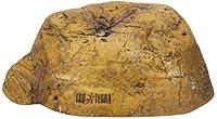 Algopix Similar Product 13 - Exo Terra 0015561229319 1 Reptile Cave