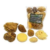 Algopix Similar Product 2 - Natural Sea  Synthetic Sponges 