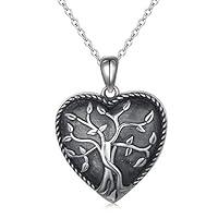 Algopix Similar Product 4 - S925 Sterling Silver Heart Urn Memorial