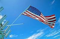 Algopix Similar Product 14 - 6 Foot Boating Flagpole for Rod Holders