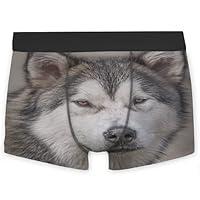 Algopix Similar Product 17 - OcuteO Mens Boxer Briefs Funny Alaskan