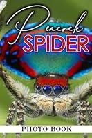 Algopix Similar Product 8 - Peacock Spider Photo Book Vibrant