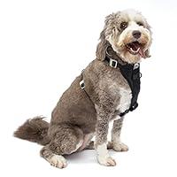 Algopix Similar Product 8 - Kurgo TruFit Enhanced Strength Dog