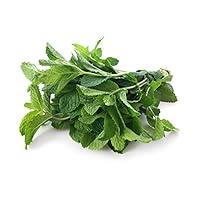 Algopix Similar Product 8 - Organic Mint, 1 Bunch