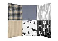 Algopix Similar Product 1 - Sweet Jojo Designs Blue Tan Grey and