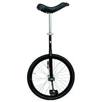 Algopix Similar Product 10 - Fun 20 Inch Wheel Unicycle with Alloy