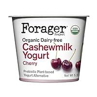 Algopix Similar Product 20 - Forager Project Organic DairyFree