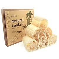 Algopix Similar Product 15 - 6Pack Luffa Sponges Gentle Exfoliating