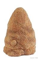 Algopix Similar Product 6 - Exo Terra Termite Hill