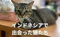 Algopix Similar Product 8 - inndonesiadedeattanekotachi Japanese