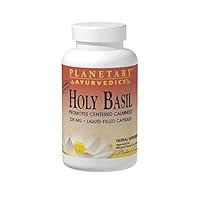 Algopix Similar Product 5 - PLANETARY HERBALS Holy Basil Liquid