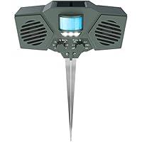 Algopix Similar Product 7 - Hoont Solar Powered Motion Activated