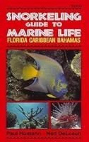 Algopix Similar Product 20 - Snorkeling Guide to Marine Life