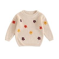 Algopix Similar Product 17 - AGGRYZY Toddler Baby Girl Knit Sweater