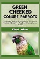 Algopix Similar Product 11 - GREEN CHEEKED CONURE PARROTS A