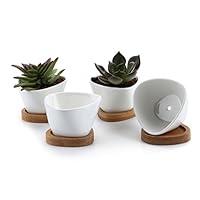 Algopix Similar Product 14 - T4U Small White Succulent Planter Pots