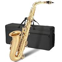 Algopix Similar Product 2 - GODECOR E Flat Alto Saxophone Brass