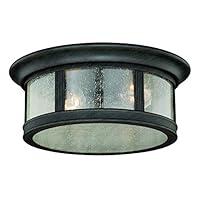 Algopix Similar Product 15 - Hanover Bronze Round Outdoor Flush