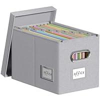 Algopix Similar Product 10 - DYWMM Hanging File Filing Box with Lid