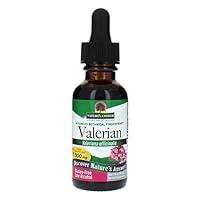 Algopix Similar Product 17 - Natures Answer Valerian Root with