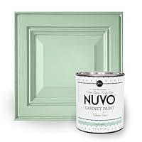 Algopix Similar Product 16 - Nuvo Cabinet Paint, Celadon Cove (Quart)