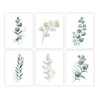 Algopix Similar Product 3 - Botanical Prints Wall Art  Eucalyptus