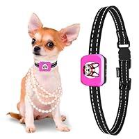 Algopix Similar Product 20 - Small Dog Bark Collar Rechargeable 