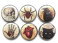 Algopix Similar Product 20 - Halloween Refrigerator 6 Magnets Skull