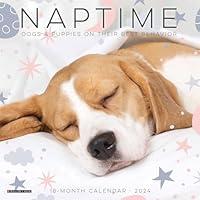 Algopix Similar Product 18 - Willow Creek Press Naptime Dogs