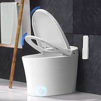 Algopix Similar Product 14 - EPLO Smart Toilet Bidet with Tank Built
