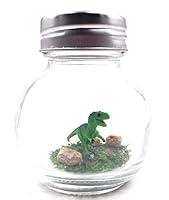 Algopix Similar Product 17 - Mini Dinosaur Desk Pet Green TRex with