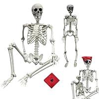 Algopix Similar Product 2 - IDMOP 54ft165cm Halloween Skeleton 