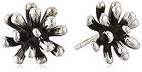 Algopix Similar Product 3 - Zina Sterling Silver Fireworks
