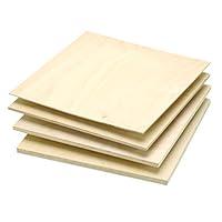 Algopix Similar Product 3 - Baltic Birch Plywood  14 thick 24