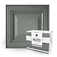 Algopix Similar Product 20 - Nuvo Cabinet Paint Kit, Olde Sage