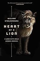 Algopix Similar Product 19 - Heart of a Lion A Lone Cats Walk