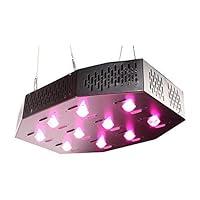 Algopix Similar Product 2 - Cirrus LED 1K, 240V