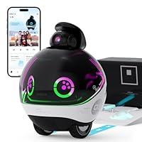 Algopix Similar Product 19 - Enabot EBO X Home Robot with GPT