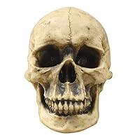 Algopix Similar Product 17 - Wallcharmers Wall Charmers Life Size