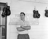 Algopix Similar Product 4 - Rocky Marciano boxing gloves on wall