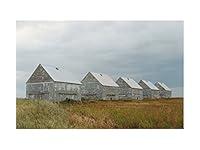 Algopix Similar Product 17 - 30 x 40 in. Geoff Moore Row