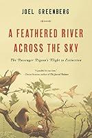 Algopix Similar Product 7 - A Feathered River Across the Sky The