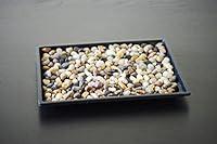 Algopix Similar Product 1 - 9GreenBox Bonsai Humidity Drip Tray 