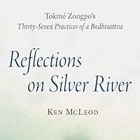 Algopix Similar Product 17 - Reflections on Silver River Tokme