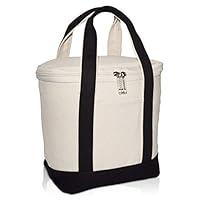 Algopix Similar Product 6 - DALIX Mini Can Cooler Bag Small