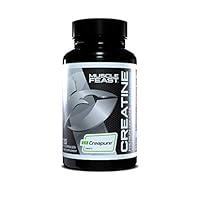 Algopix Similar Product 7 - Muscle Feast Premium Creapure Creatine